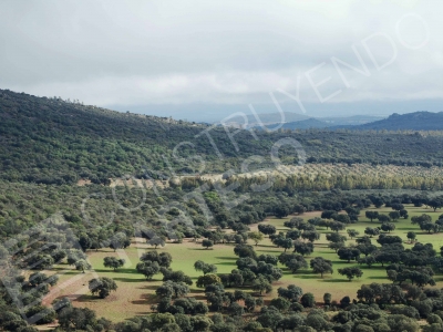 Grasslands of Extremadura (Badajoz)