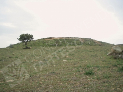 Image of the tumulus prior to the start of the archaeological excavations