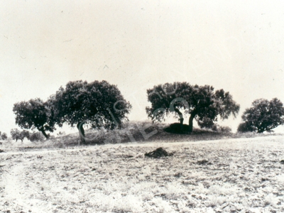 Tumulus of Cancho Roano prior to its excavation