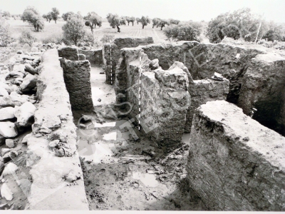 Excavación de H3. Campaña 1980
